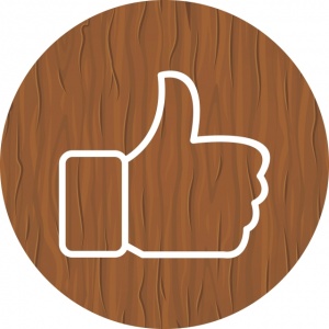 25 лет опыта