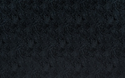 № 2 СЕРЕБРЯНЫЙ ЛЕС