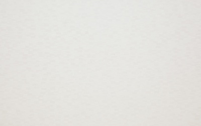 № 38 БЕЛЫЙ ПЕРЛАМУТР