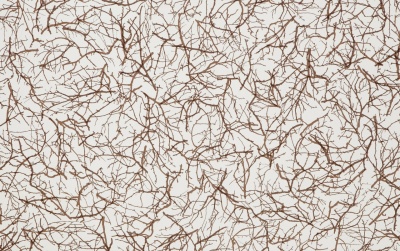 № 45 ЛЕСНЫЕ ВЕТВИ