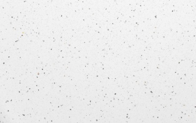 № 55ГЛ ЛЕДЯНАЯ ИСКРА БЕЛАЯ