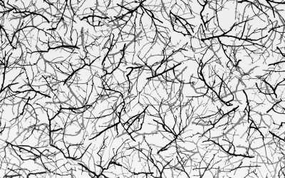 № 105 ЗИМНИЕ ВЕТВИ