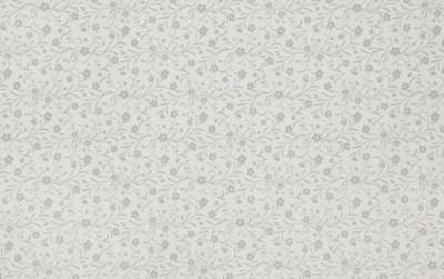 № 126 СЕРЕБРЯНЫЙ ЭДЕЛЬВЕЙС