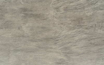 № 290 С ГЕПЕРИОН СВЕТЛЫЙ