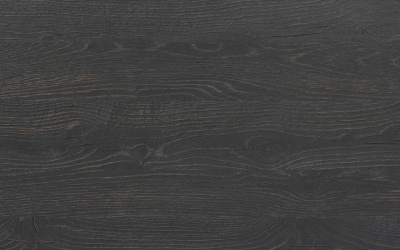 № 294 Ф ОБОЖЖЁННЫЙ ДУБ