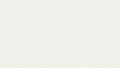 № 801 ЛАТИНИЦА БЕЛАЯ